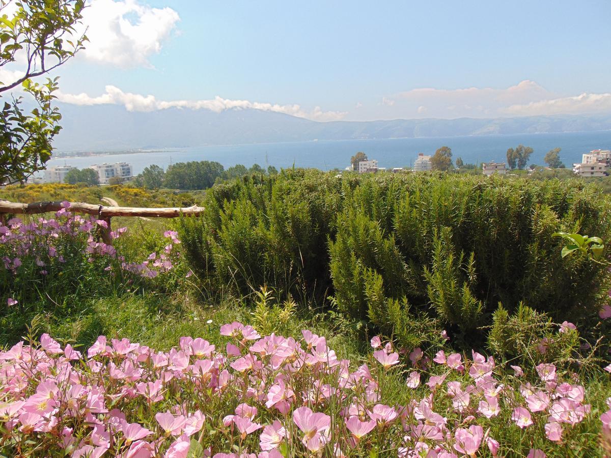 Residence Jazoj Vlorë Екстериор снимка